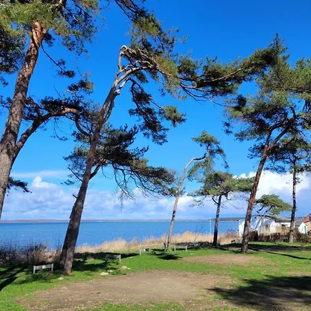 Ostseecamping Am Salzhaff キャンプ場 Pepelow